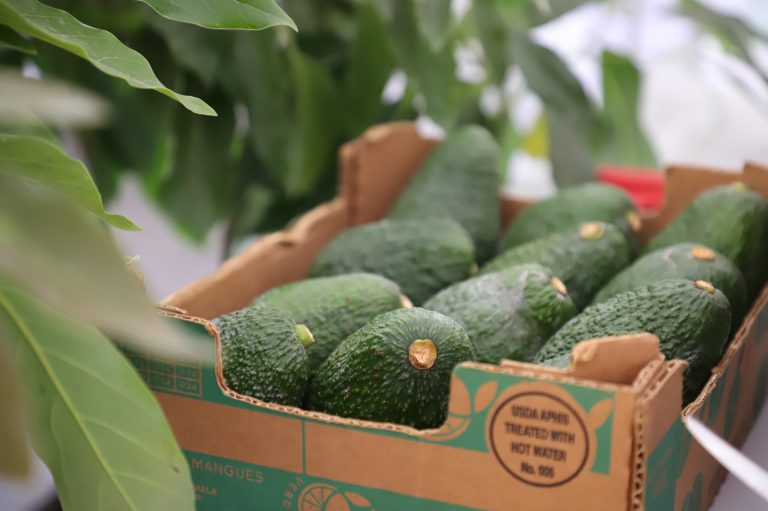 Productores agrícolas se preparan para el segundo Agroencuentro 2025