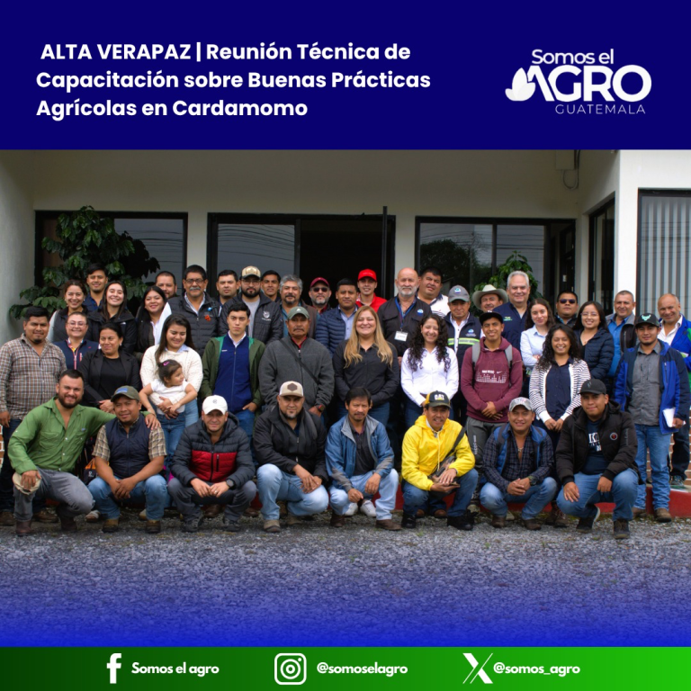 Capacitación fortalece conocimientos en Buenas Prácticas Agrícolas