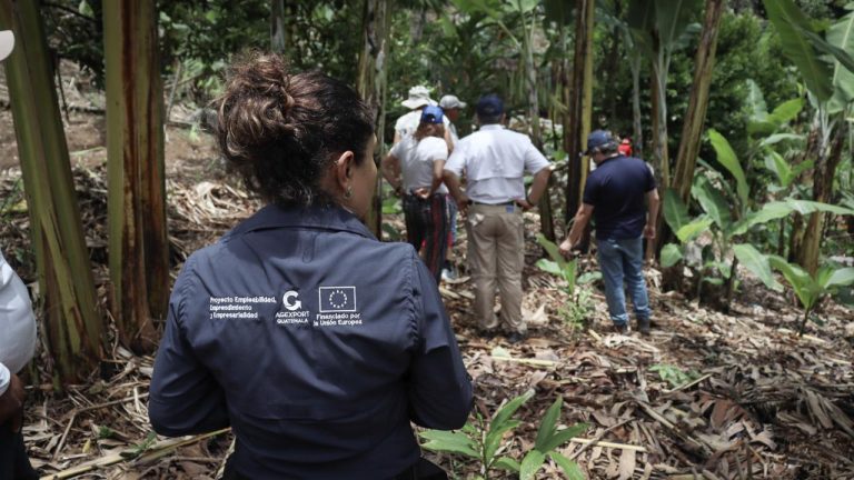 AGEXPORT proyecta ampliar en 2026 el impacto de cinco proyectos que fortalecieron a los sectores exportadores en 2025