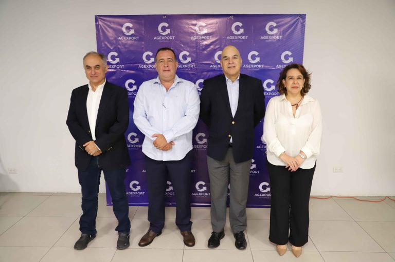 Guatemala podría incorporar hasta 20 mil toneladas adicionales de aguacate Hass hacia 2028, si supera barreras que frenan la competitividad del sector