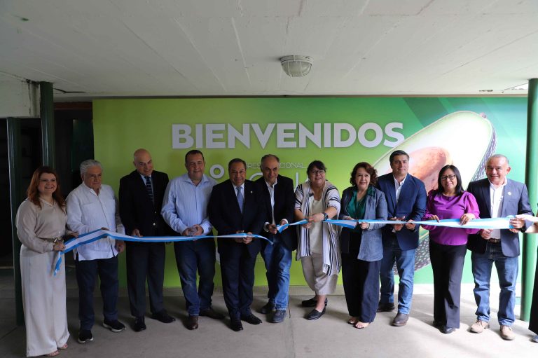 Asia: nuevo horizonte de crecimiento para el aguacate de Guatemala
