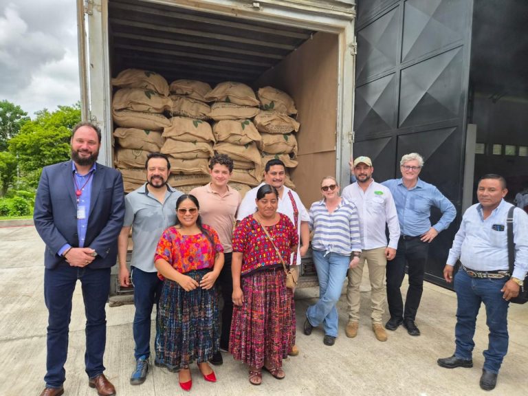 Cacao guatemalteco completa exitoso piloto EUDR-Ready y se prepara para dar el siguiente paso hacia Europa