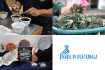 Made in Guatemala: una nueva estrategia para posicionar nuestra oferta exportable en mercados clave