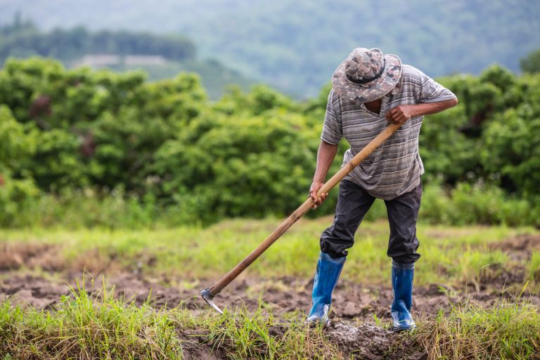 Sembrar sin garantías: el oficio de sostener el campo